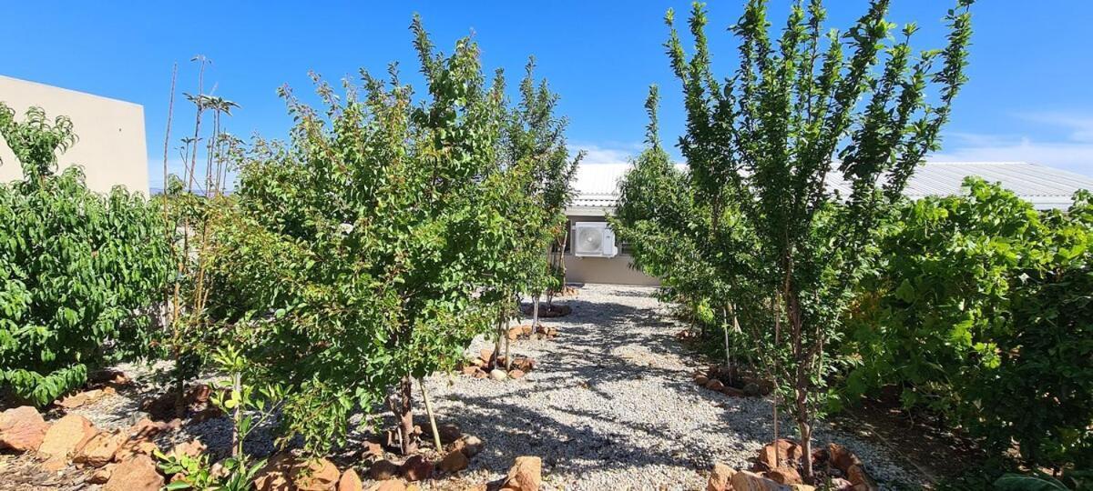 Mountain View Guesthouse Vanrhynsdorp Εξωτερικό φωτογραφία